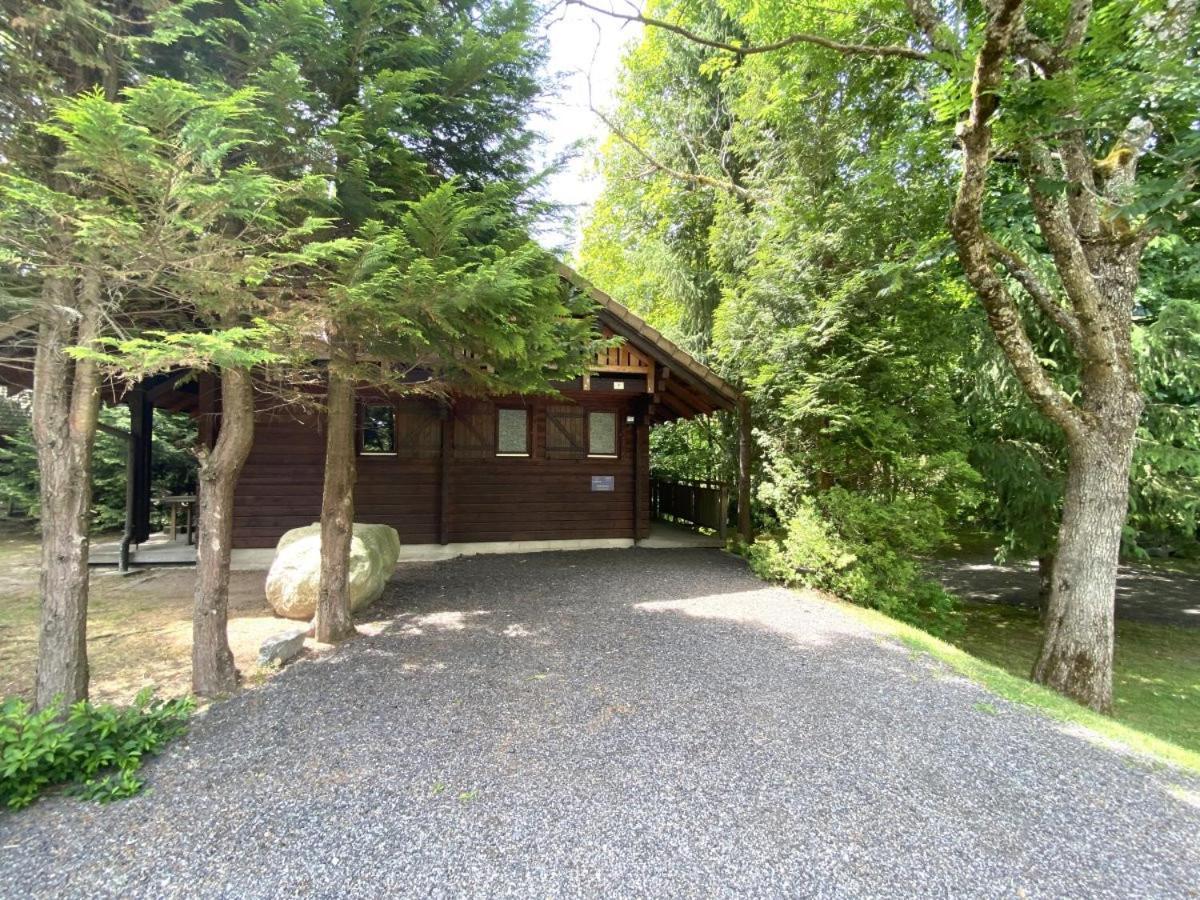 Le Renard En Bois Chalet *